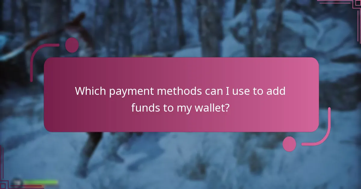 Which payment methods can I use to add funds to my wallet?